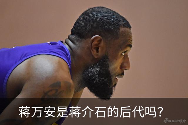 蒋万安是蒋介石的后代吗？